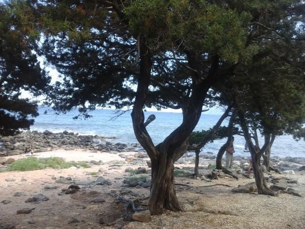 Karmabnb Cala Gonone Zewnętrze zdjęcie